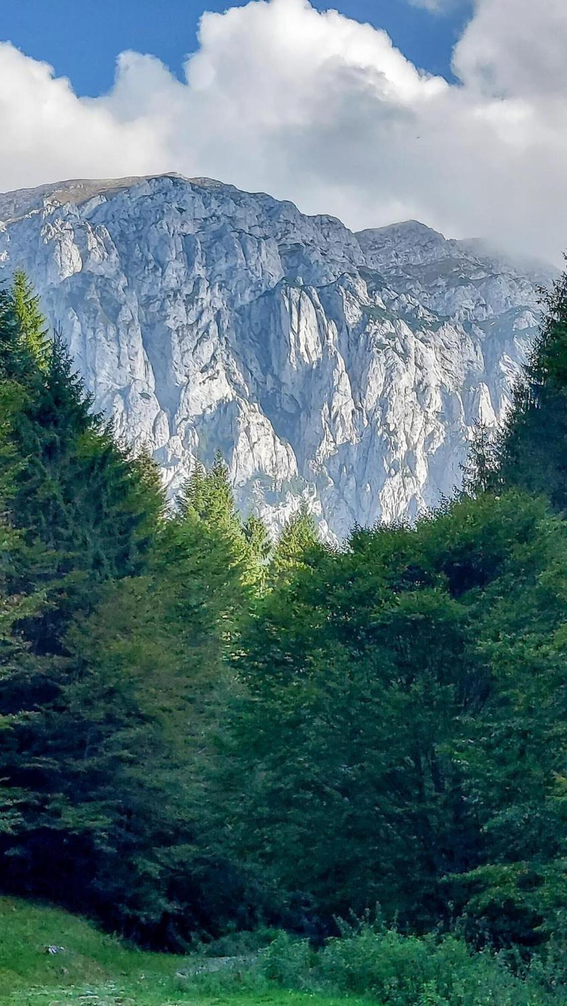 Cazare Zorilor Zărneşti Oda fotoğraf
