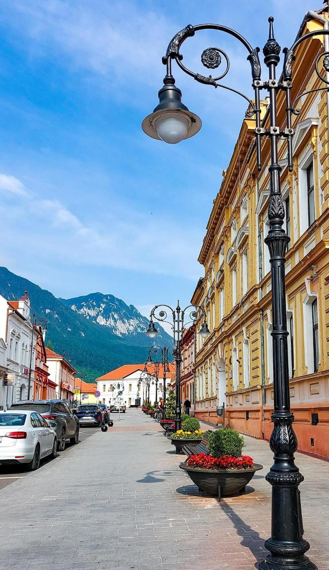 Cazare Zorilor Zărneşti Oda fotoğraf