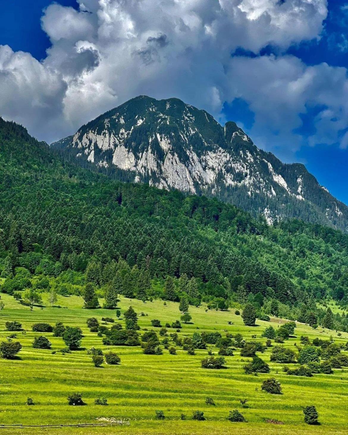 Cazare Zorilor Zărneşti Oda fotoğraf