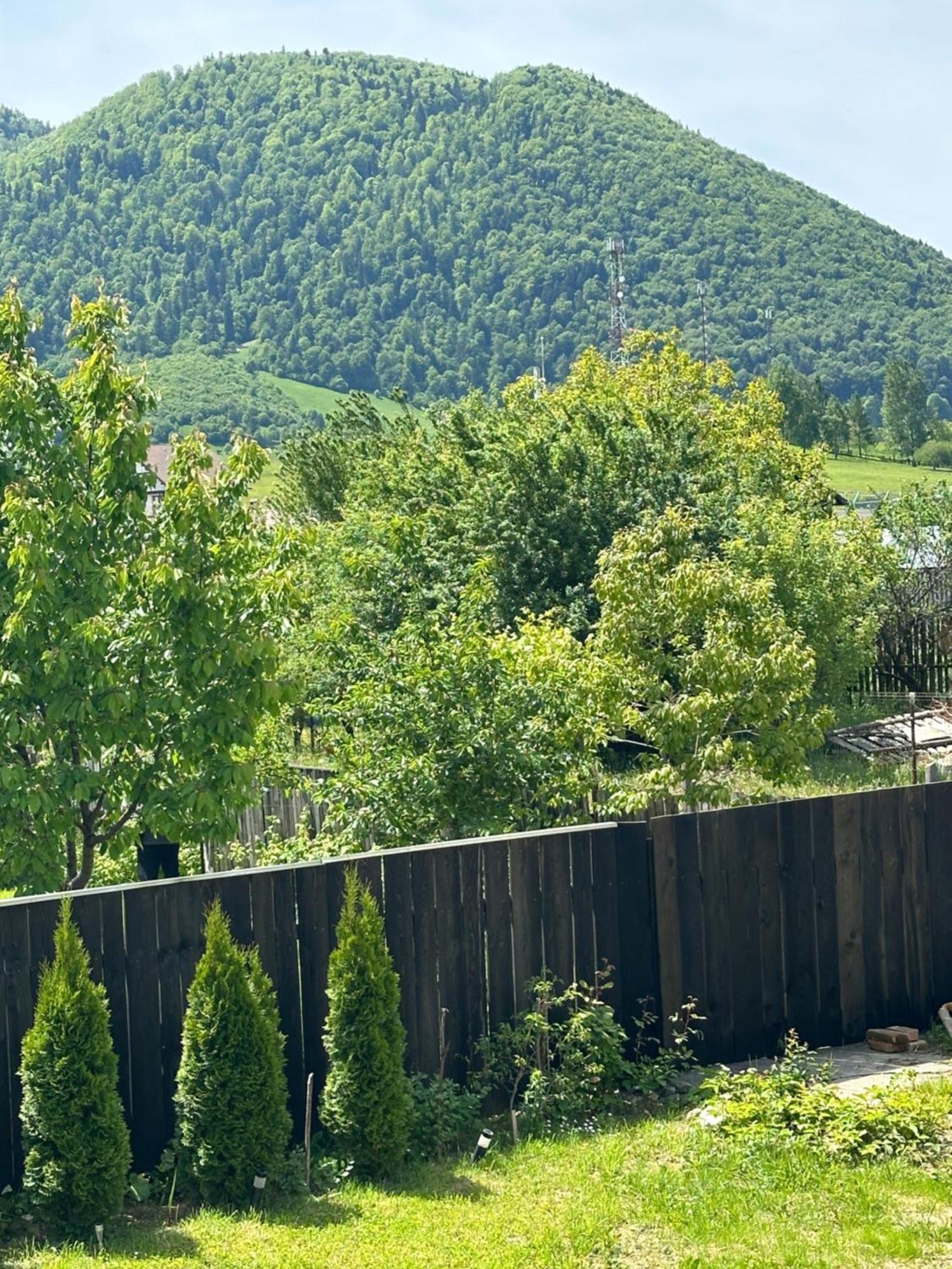 Cazare Zorilor Zărneşti Oda fotoğraf