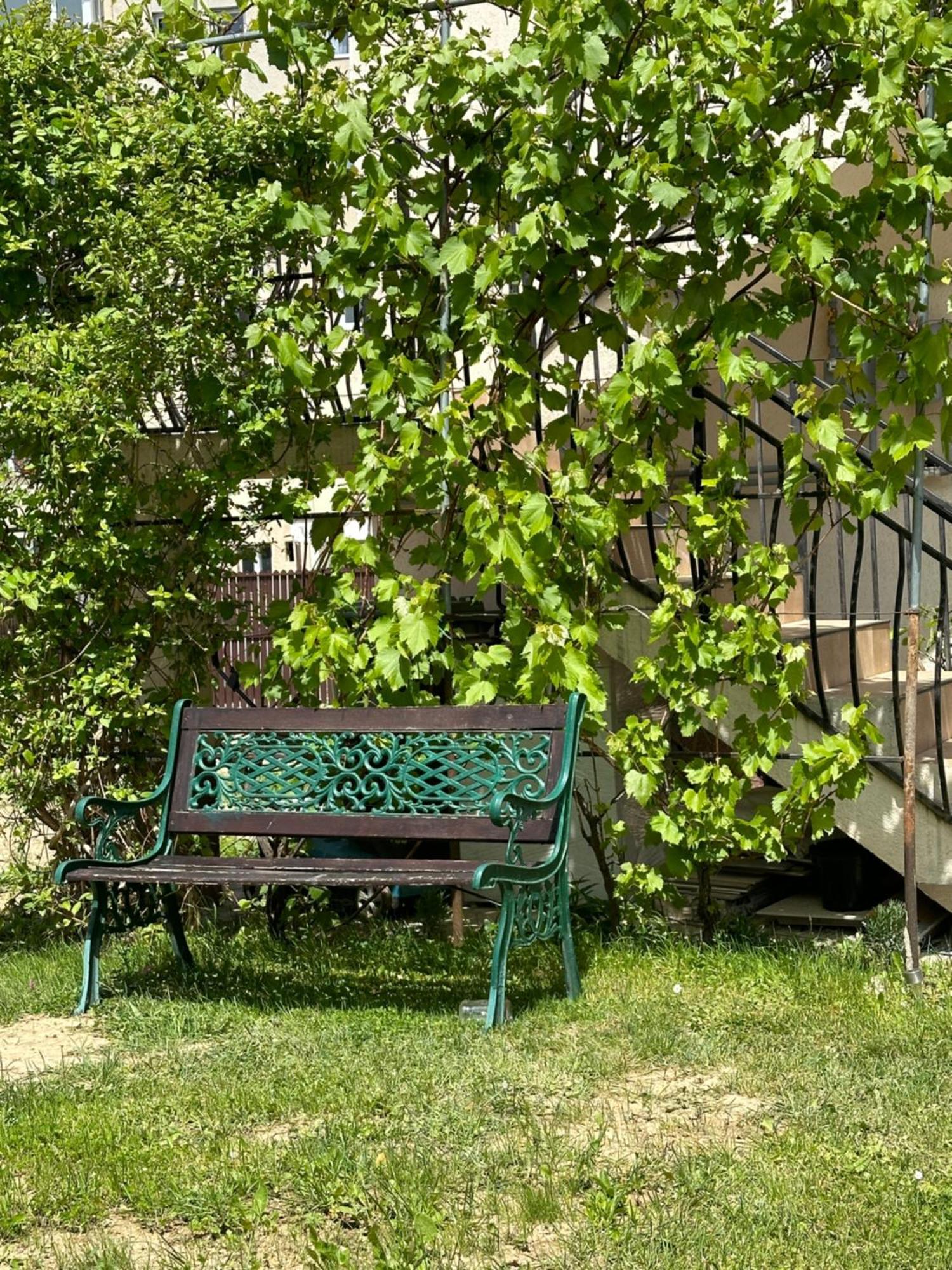 Cazare Zorilor Zărneşti Oda fotoğraf